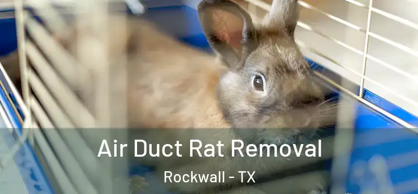 Air Duct Rat Removal Rockwall - TX