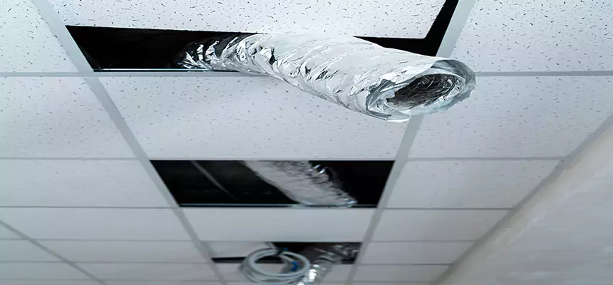 Affordable HVAC Sanitizing After Pest Removal in Rockwall