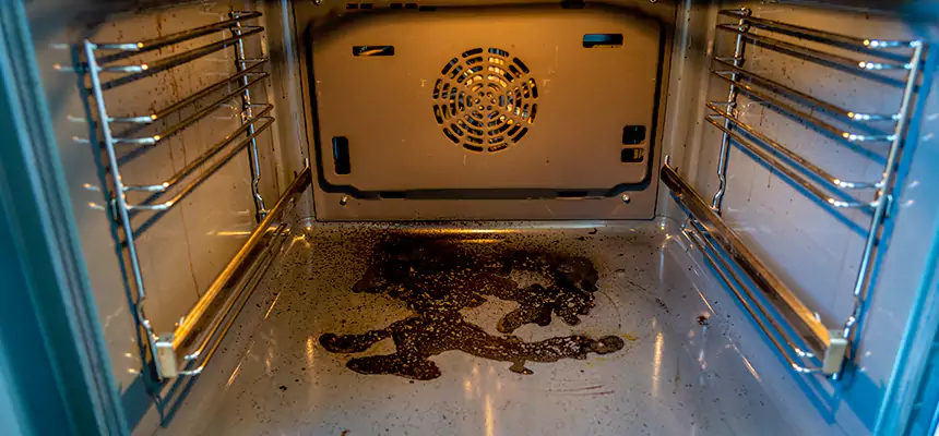 Our Dryer Vent Mold Cleaning Services in Rockwall, TX