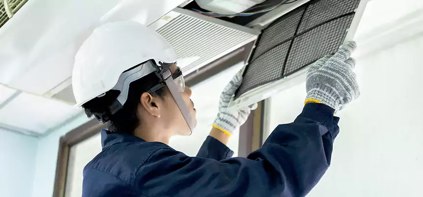 Our Mold & Mildew Removal from Air Ducts Services in Rockwall, TX