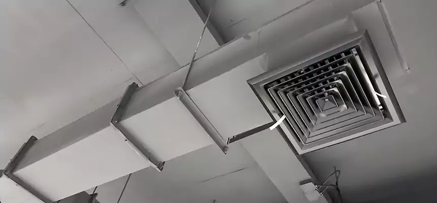 Our Rodent Droppings In Vents Services in Rockwall, TX