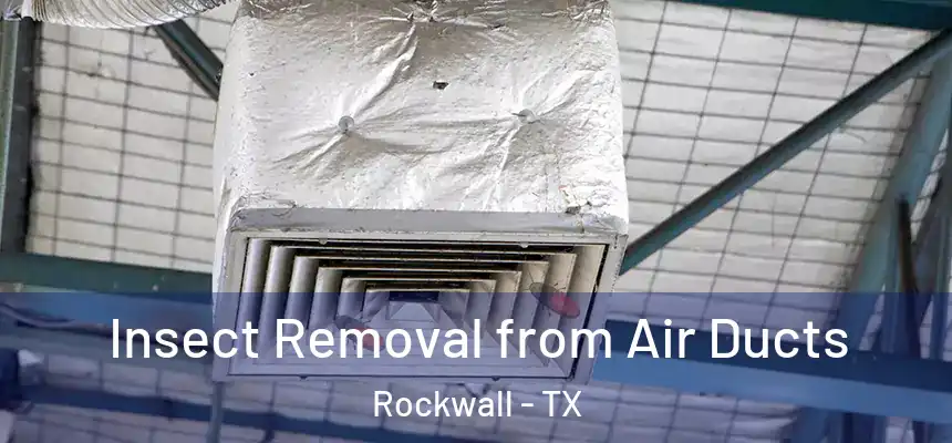 Insect Removal from Air Ducts Rockwall - TX