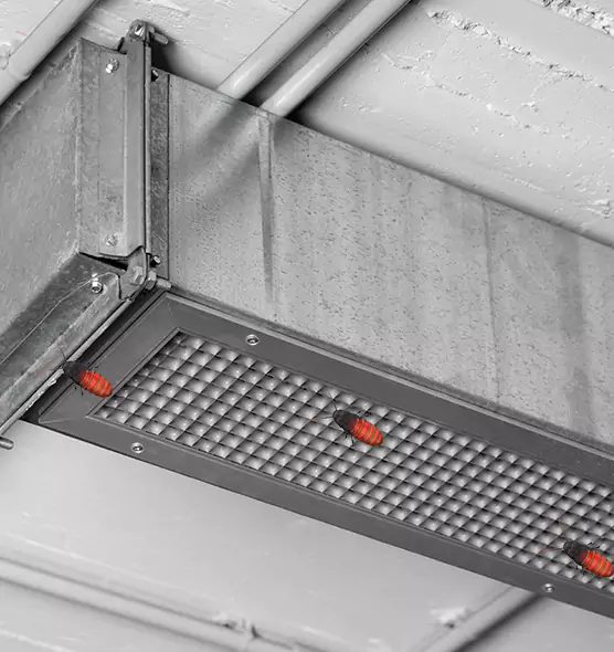Affordable Insect Removal from Air Ducts in Rockwall, TX