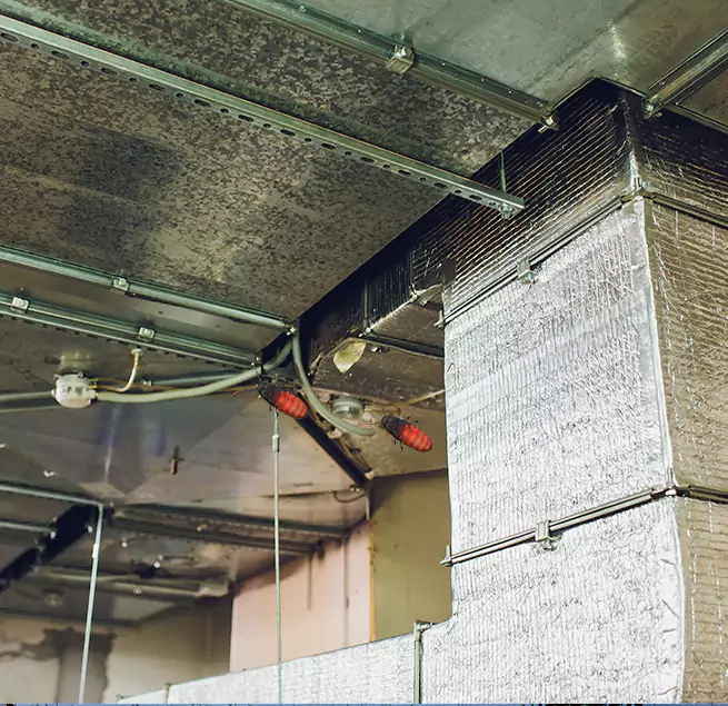 Why Homeowners & Businesses Trust Us in Rockwall, TX?