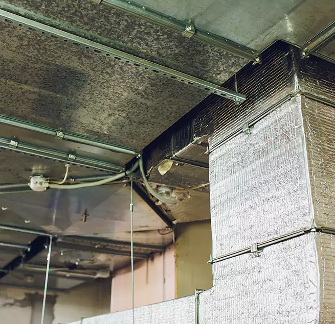 Why Homeowners & Businesses Trust Us in Rockwall, TX?